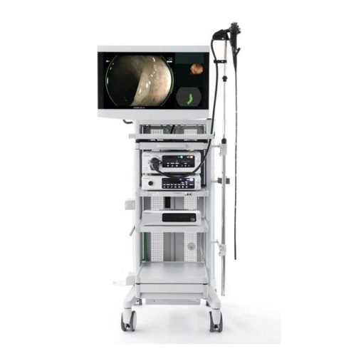 endoscopy